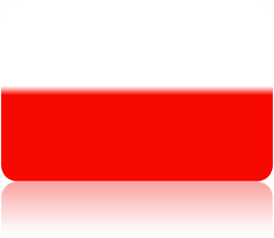 Polska Wersja Językowa strony